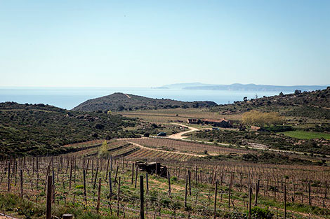 Los destinos para wine lovers del Cabo de Creus