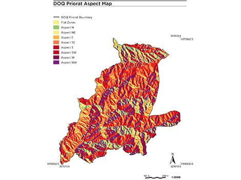 Priorat: is it all about terroir?