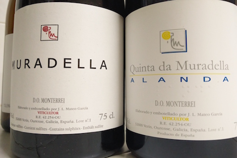 Quinta da Muradella: the quiet search for wine purity
