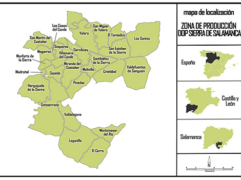 Rufete grapes put Sierra de Salamanca on the wine map