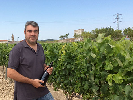 Leading wine producers in Terra Alta