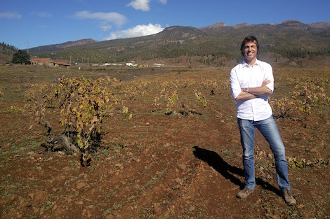 Tenerife wines fall under the spell of the volcano