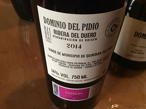 Dominio del Pidio: bringing new styles to Ribera del Duero