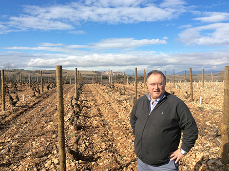 Finca Allende in Rioja rethinks its winegrowing strategy