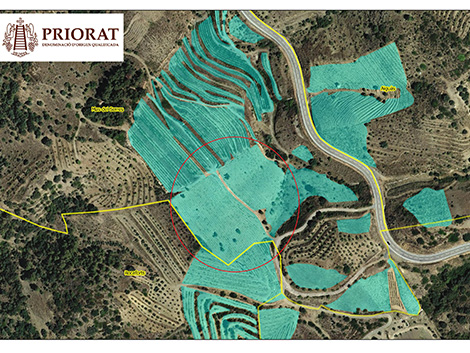 A guide to Priorat’s new vineyard classification