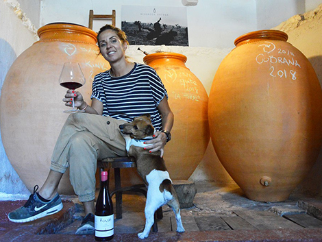 Dogs are winemakers’ best friends