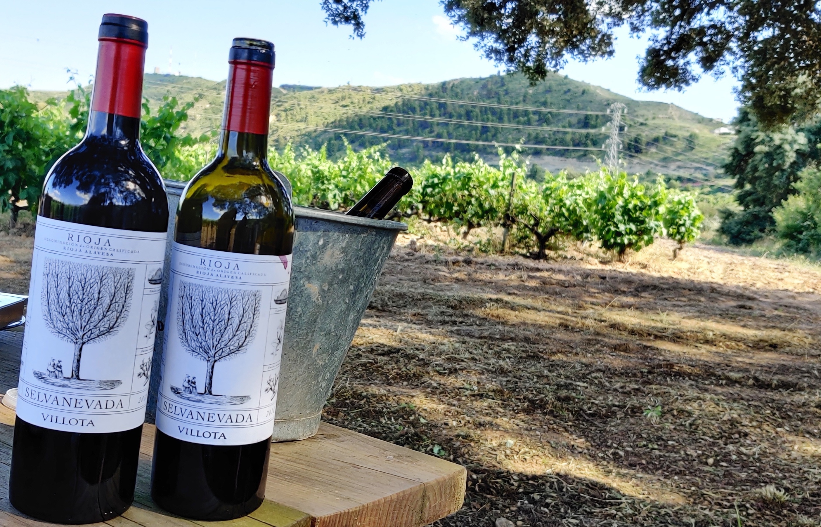 Villota: vinos de meandro en Rioja Alavesa