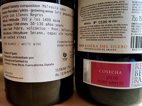 Advanced glossary of wine terms in English and Spanish