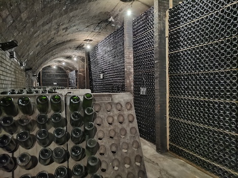 Mestres: the long-ageing bodega that has always championed Cava