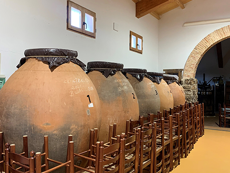 Bobal, a hidden gem among bulk wines in Ribera del Júcar