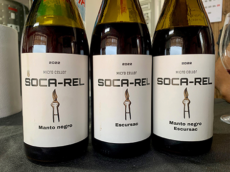    Pep Rodríguez, from Soca-Rel: growing local varieties in Mallorca  
