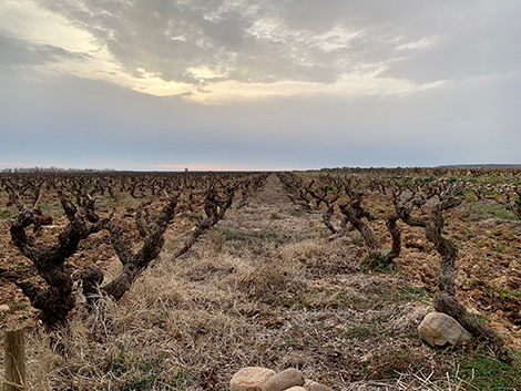 Vinos en Voz Baja explores the essence of Rioja Oriental
