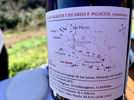 Celebrating 25 years in Corullón and tasting en primeur with Álvaro Palacios
