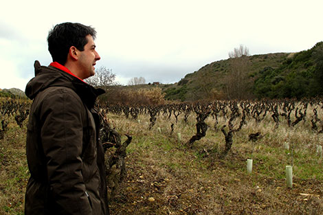A new generation of brave producers in Rioja (I)
