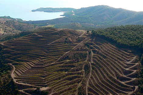 Catalonia’s Cap de Creus for wine lovers