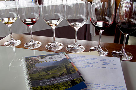 The long hard road to become a Master of Wine