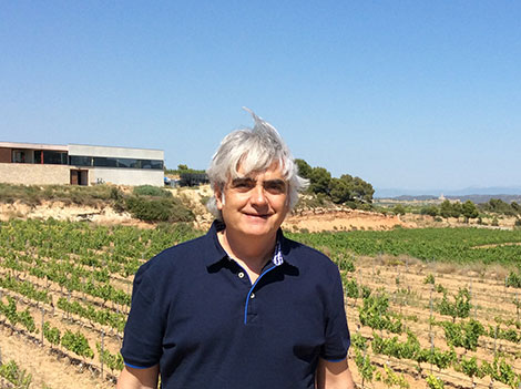 Leading wine producers in Terra Alta