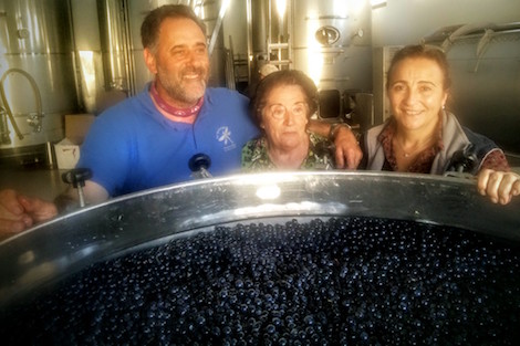 Destemming grapes with Abel Mendoza in Rioja