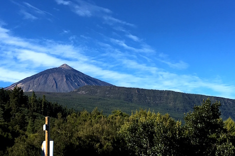 Tenerife: vinos que nacen del volcán