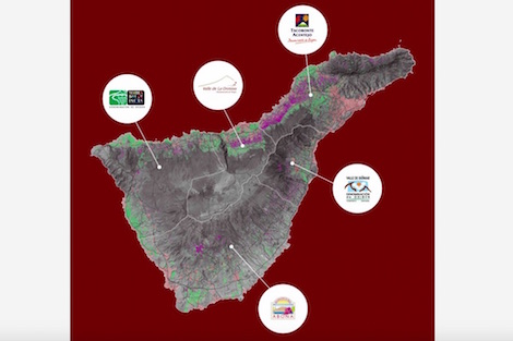 Tenerife: vinos que nacen del volcán