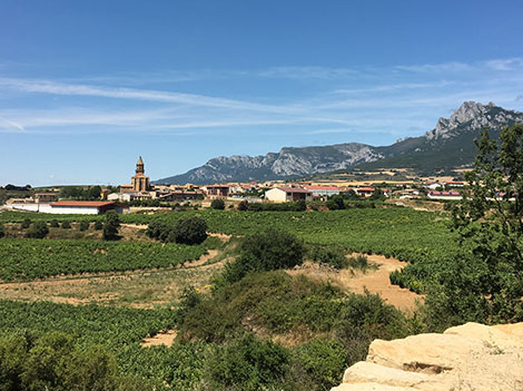 Rioja in the 21st century: styles and categories of wine