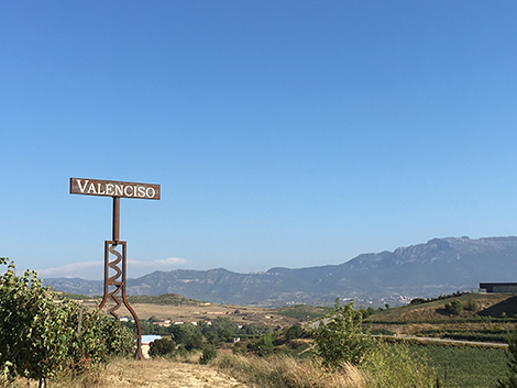 Valenciso, a 21st century Rioja