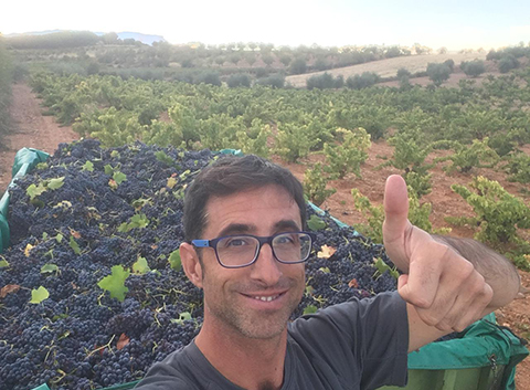 Eight stories to understand the 2018 harvest in Spain
