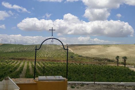 Mayetería Sanluqueña: artisans working in the vineyard