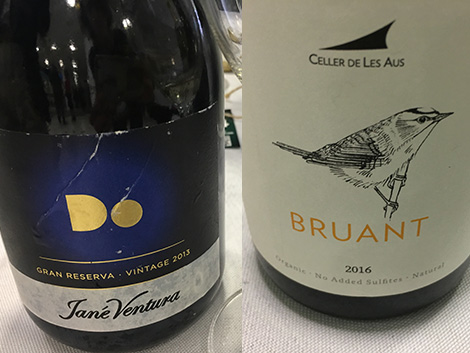 Fifteen Spanish wines to welcome spring