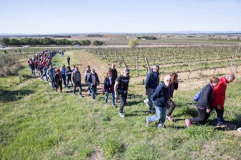 Catas y eventos de vino en abril de 2019