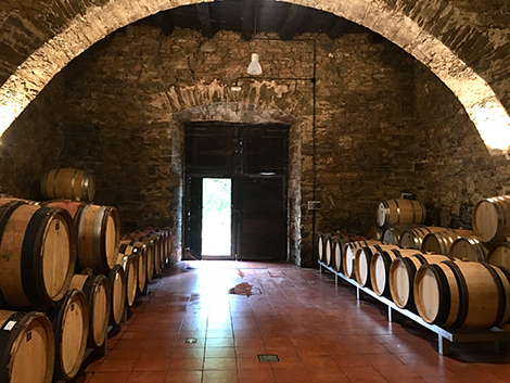 The one and only Raúl Pérez: new projects in Bierzo