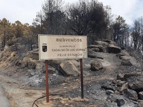 Scorching heat and fire burn vineyards in parts of Catalonia and Madrid