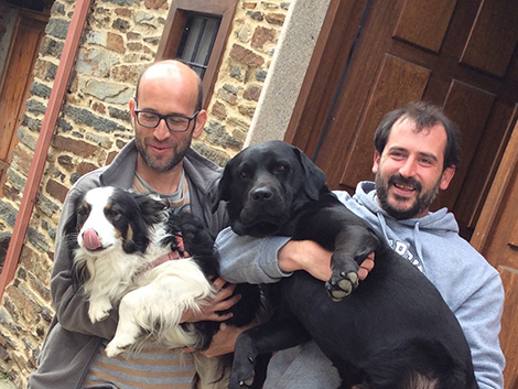 A winemaker’s best friends: six dogs and a cat