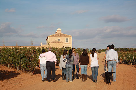 Alonso del Yerro, terroir-driven wines in Ribera