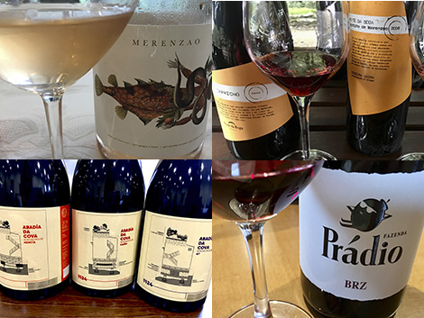 ¿Qué necesita Ribeira Sacra para convertirse en una gran zona vinícola? (I)