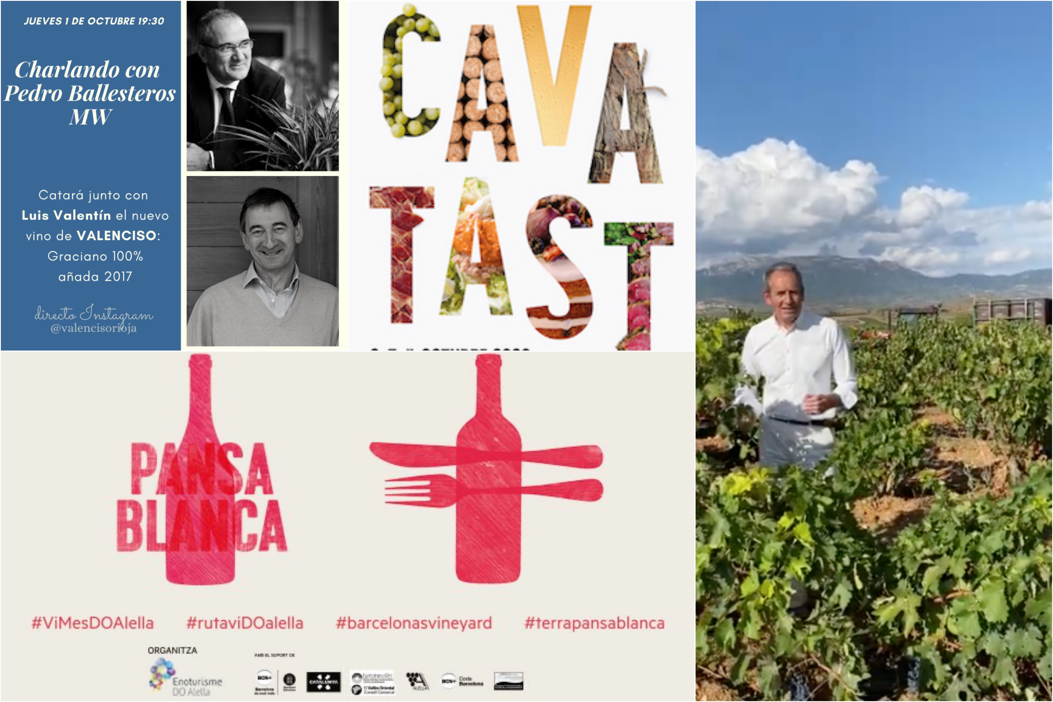 Catas y eventos de vino en octubre de 2020