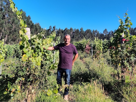 Forjas del Salnés, the producer who revived the red wines of Rías Baixas