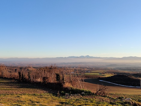 ¿Tienen futuro los cosecheros de Rioja?