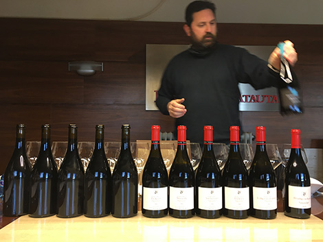 Dominio de Atauta: en el valle de las viñas centenarias
