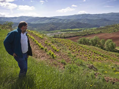 Volumen o valor: el órdago de más de 200 pequeñas bodegas de Rioja