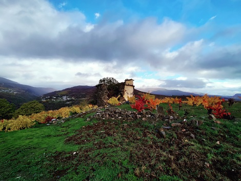 O Cabalín: Recuperando viñas abandonadas en Valdeorras