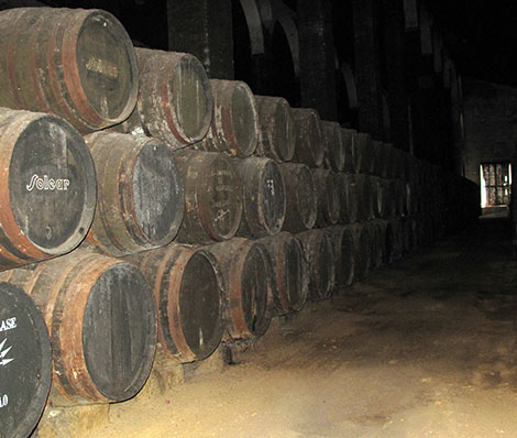 Top sherry wineries and tapas in El Puerto and Sanlúcar