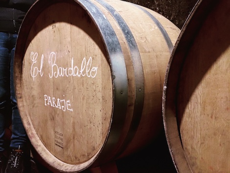 Vignerons de la Sonsierra: crafting fine wines from a medieval cellar