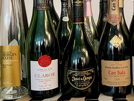 Bubbles of joy: a selection of 15 Cavas to enjoy all year round 