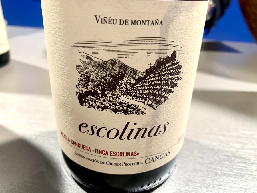 Escolinas Mezcla Canguesa 2023 Tinto