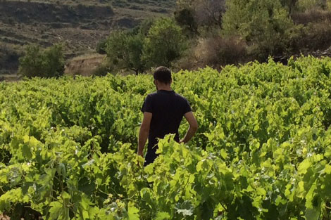 A new generation of brave producers in Rioja (I)