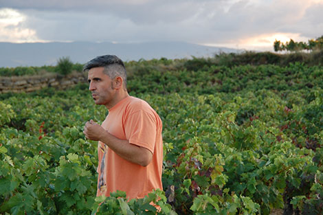 A new generation of brave producers in Rioja (and II)
