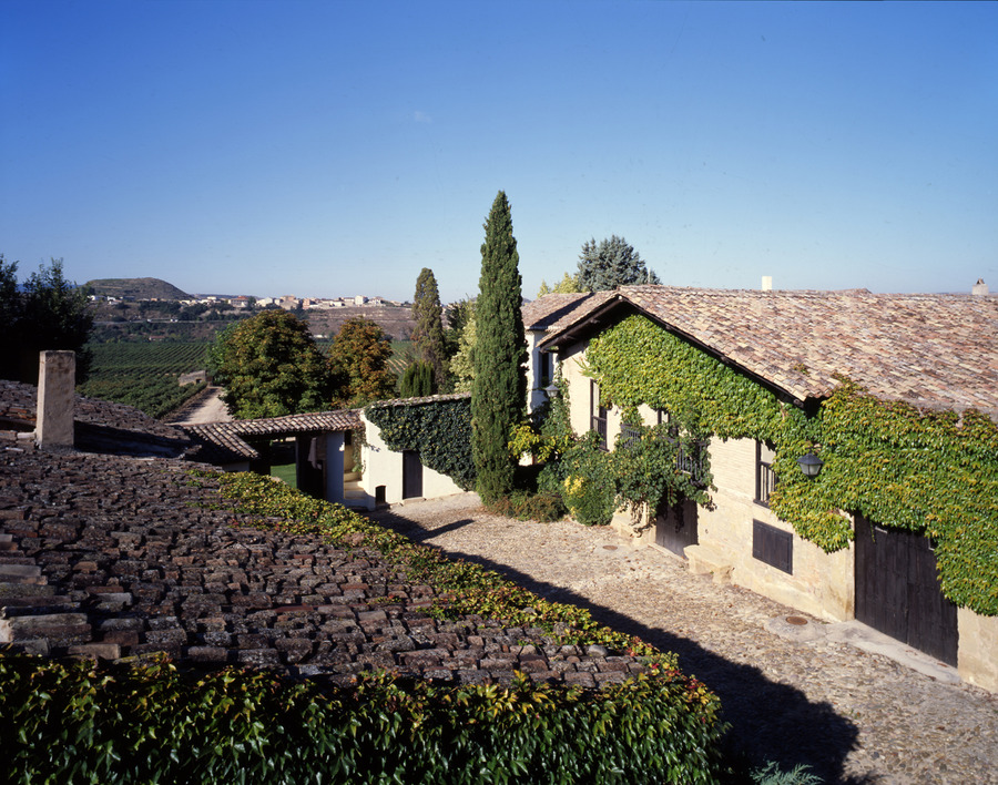 Viñedos del Contino