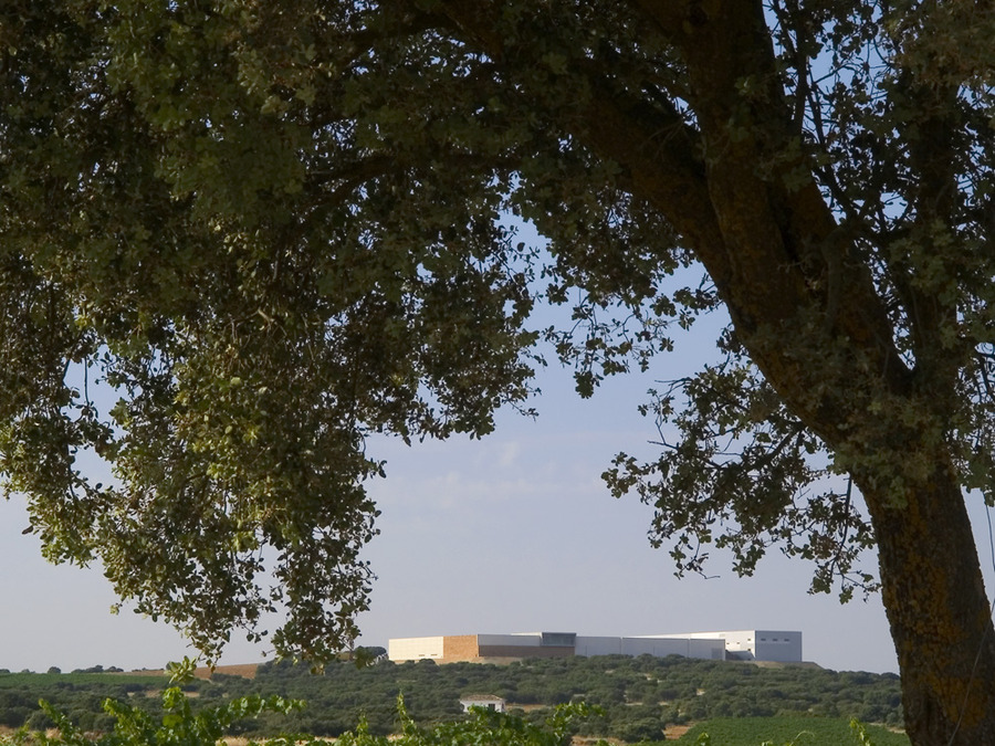 Finca Antigua