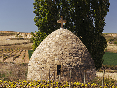 Beronia